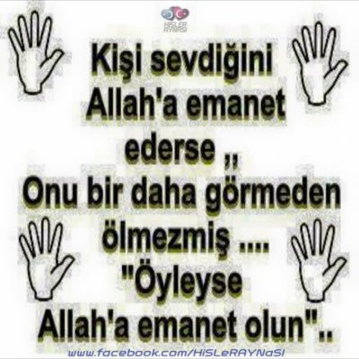 mbeccel85's profile picture. 