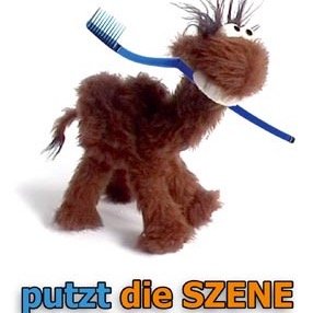 SzenePutzen.de / ⭐️⭐️⭐️⭐️⭐️neue Community, Blog, Veranstaltungskalender & Branchenbuch in einem. Check out! 😎