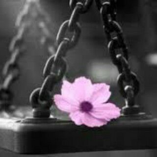 678_saad's profile picture. ‏‏قارئة + كاتبة خواطر .. ♡ كل ما دون تحته اسمي انتقاء فهو لي ..(من أخذ شيئا بغير استئذان فهو ليس بحل )..