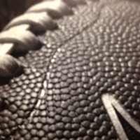 Frank Kleha (@frankkleha) 's Twitter Profile