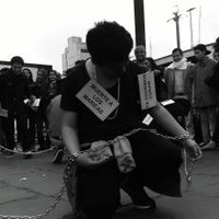 Ave Fénix (@solojo88) 's Twitter Profile