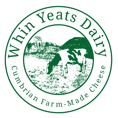 Unpasteurised farm-made cheese and fresh raw milk on our Cumbrian dairy farm