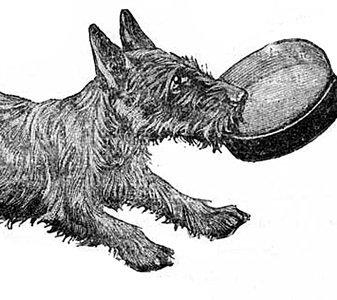 The Junk Yard Dog... Vintage, Etsy, all things old and especially junky!