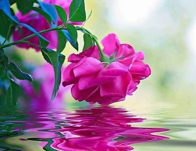 ElaElizabethlu1's profile picture. 