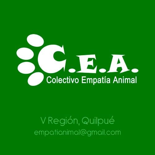 Organización de protección animal de Quilpué, Chile ¡Contra el sufrimiento animal! . We are an animal welfare organization from Chile. Against animal suffering!