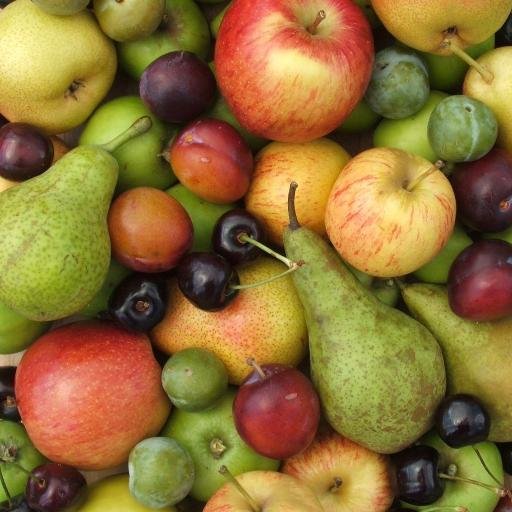 A UK charity which works to safeguard the apple, pear, plum and cherry varieties and orchard habitat of Beds, Cambs, Essex, Herts, Lincs, Norfolk and Suffolk.