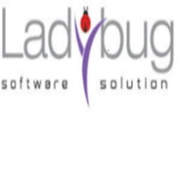 Lady Bug is your one-stop destination for digital marketing solutions. Our services are focused on exposing the digital marketing world for small businesses.