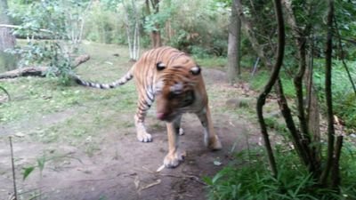 FlwrHeather's profile picture. 