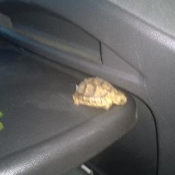 shizuka9201's profile picture. 