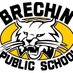 Brechin Bobcats (@BrechinBobcats) Twitter profile photo