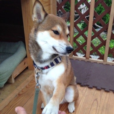 モンハンnowにハマりました やってる方勝手にフォローします！