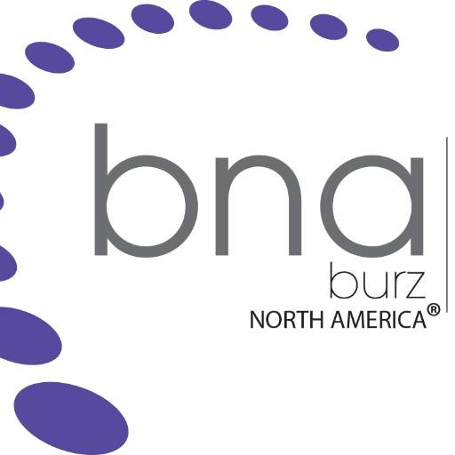 BNABurz's profile picture. BNA Burz North America- Improving safety, hygiene  & infection control with our Rotary and Motor Products for the #podiatry industry.