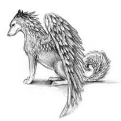 sam_tenuto's profile picture. 