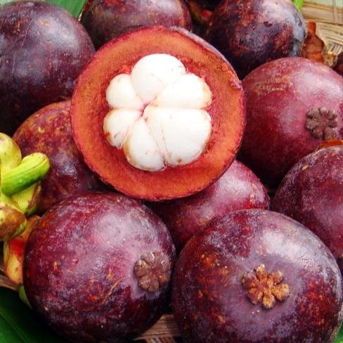 All you need to know about the mangosteen queen of fruits, where do they come from and their health benefits.