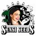 Seshata Sensi (@SeshataSensi) Twitter profile photo