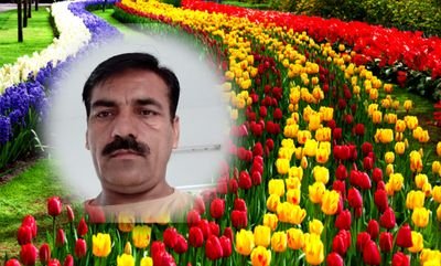 iltaf203's profile picture.