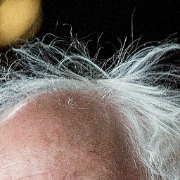 BernySanderz's profile picture. I'm going to make sure every american has access to single payer stew