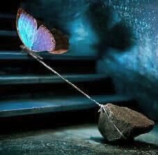 Very diverse person with dreams and goals!🏳️🌈♐️