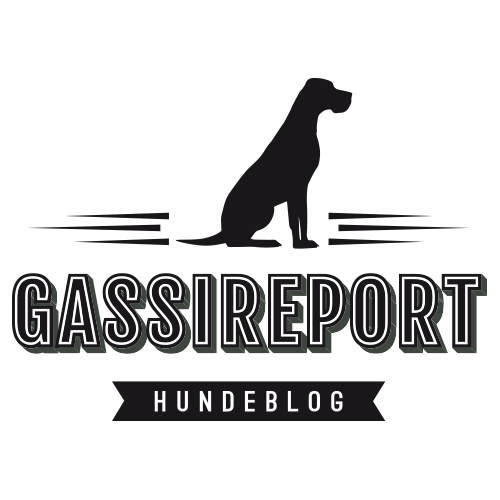Hier gehts rund um den Hund und zwar kunterbunt!
