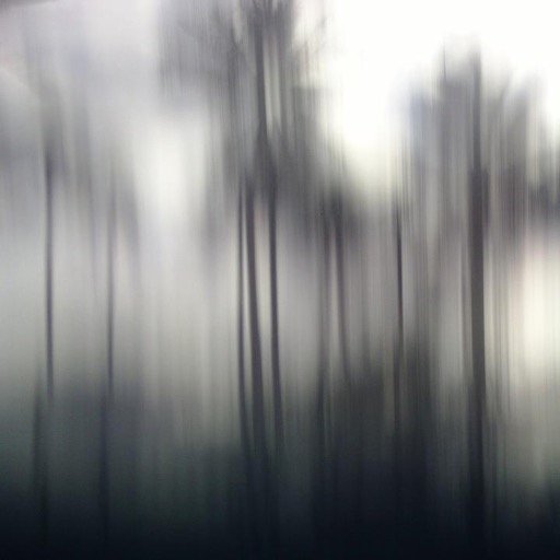 autodidackt's profile picture. 