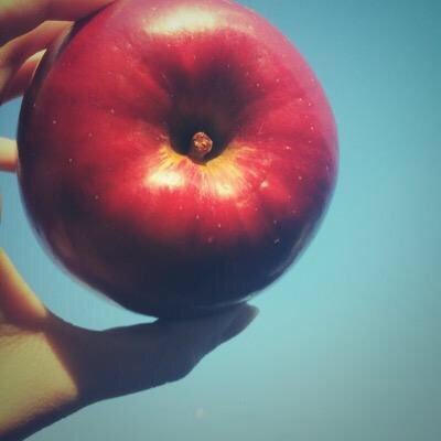 muffin3373's profile picture. スピッツ、BiSH、カネコアヤノがかなり好きな人 6/29東京ドームの景色は一生忘れません