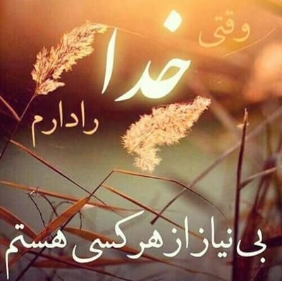 njb56Af0AKr5AYd's profile picture. 