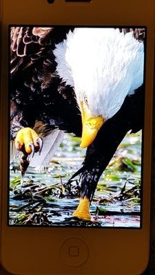 Biled779Diaz's profile picture. 