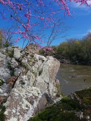 marinereilly's profile picture. Scientist studying Chesapeake Bay.  I like puns, maps, trivia and delicious food. she/her
