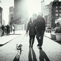 HaveBabyWillCity (@mkatemama) 's Twitter Profile