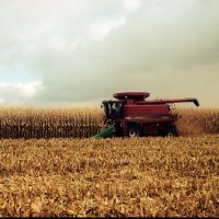 Brad Anger (@colchesterfarms) Twitter profile photo