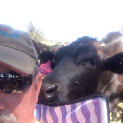 DonMackayd's profile picture. Company Director Views expressed are my own