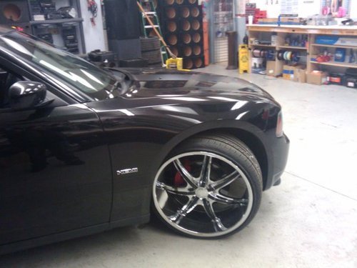 KINGKUSHGORILLA's profile picture. 