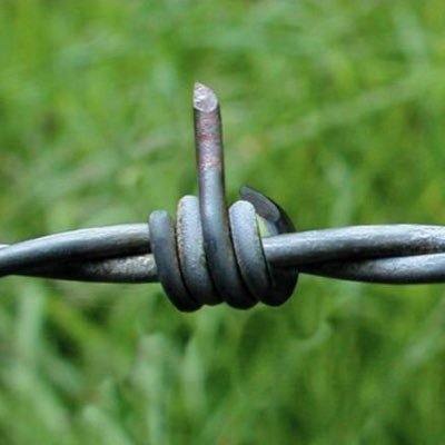 konebbc's profile picture. black bike / la Sablière /riding & chill all day / vin rouge crew