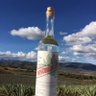 Indocumentadom's profile picture. Mezcal elaborado con Magueyes Cultivados y Silvestres bajo estricto proceso artesanal, nuestros Maestros Mezcaleros Don Anastasio y Joel Santiago, Matatlan, Oax
