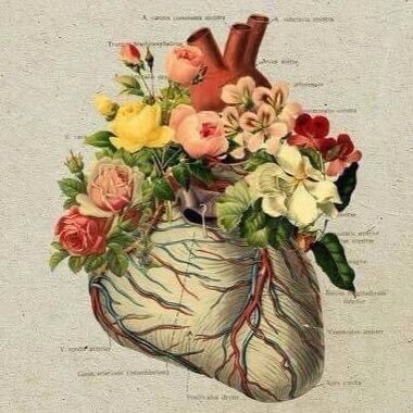 AshgarEman's profile picture. 