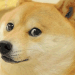 hjhh1992's profile picture. 