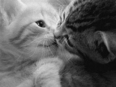 JusteMoiOk's profile picture. Compte de 32k piraté. | | ♊. | 974 |
@colortheory