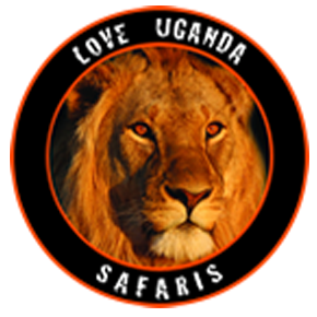 The Uganda Tourism Agency| Specialist| Operator in Gorilla safaris | Wildlife adventure |bird watching tours|Cultural tours | air ticketing and car hire