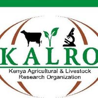 KALRO NJORO (@kalronjoro) 's Twitter Profile