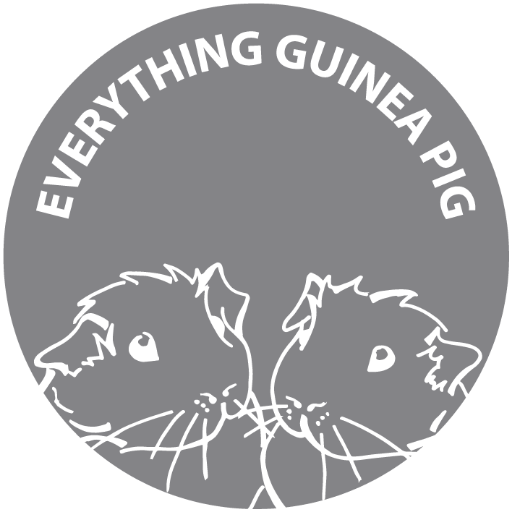 Guinea pig themed gifts, homewares, jewellery and accessories all designed and made in the UK. Shop our collections online https://t.co/hTW0GwCtVN