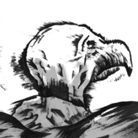 Kevin Pyle (@kevinpyle2) 's Twitter Profile