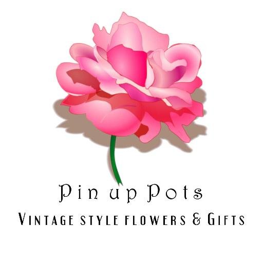 PIN UP POTS is a vintage style artificial flower arrangement,gift & homewares shop on ebay. A lover of all things flowery & vintage.
I will NOT buy followers.