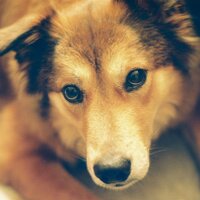 cdwebb (@cdwebb) 's Twitter Profile