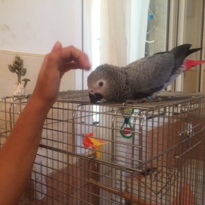 nonai123's profile picture. 