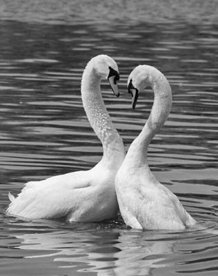 LynetteLynn2005's profile picture. 