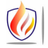 FireWise Consulting