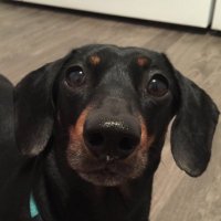Ryan Crichton (@tincritter) 's Twitter Profile