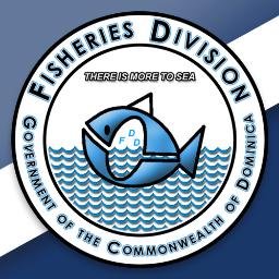 The Fisheries Division is an arm of the Government of the Commonwealth of Dominica managing the marine resources for the benefit of the people.