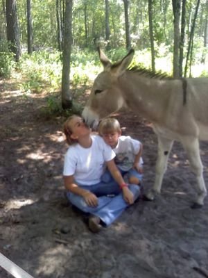 TeresaCraven84's profile picture. 