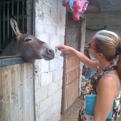 All'arte all'arte! Vo cercando il bello democratico, aperto agli occhi e al cuore e intanto mi educo all'armonia yogica https://t.co/M4t9RB6mJU #yogaperlapelle